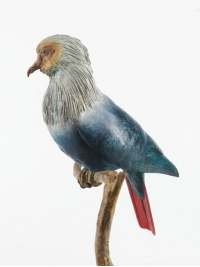Mauritius Blue Pigeon by Nick Bibby