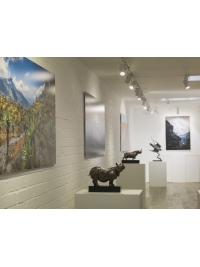 Natural World by Steve Russell Studios