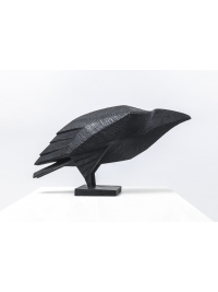 Raven I by Terence Coventry