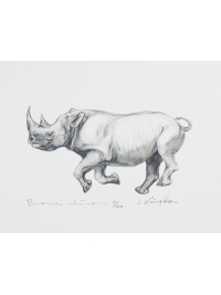 Black Rhinoceros by Jonathan Kingdon