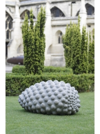 Little Seed by Peter Randall-Page