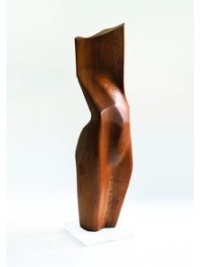 Elm Torso by Terence Coventry