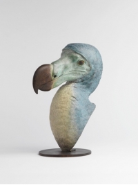 Dodo Head by Nick Bibby
