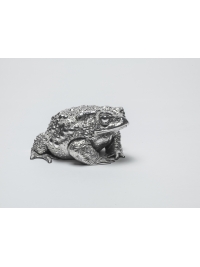 Toad II by Nick Bibby