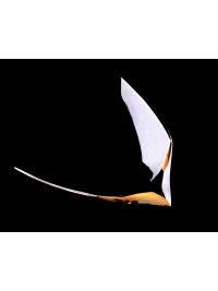 Soaring Bird by Robert Aberdein