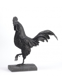 Cock by Stuart Delaney