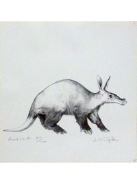 Aardvark by Jonathan Kingdon