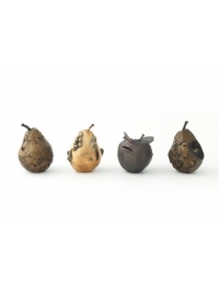 A History of the World in Four Fruits by Deborah van der Beek
