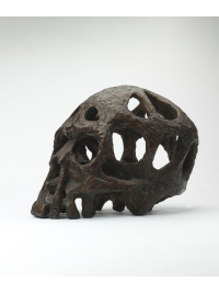 Skull by Jonathan Kingdon