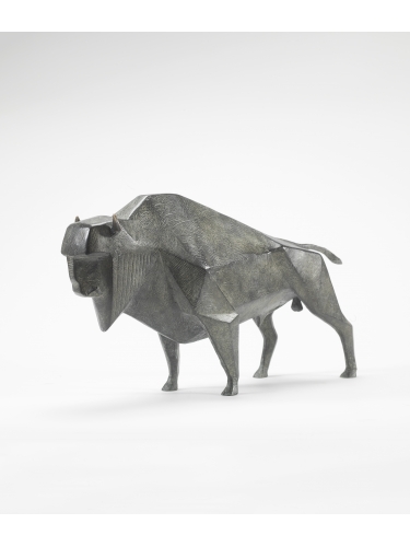 Bison