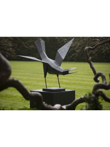 Bird II