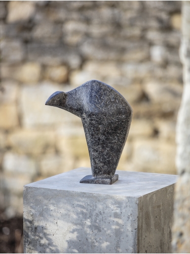Avian Form Maquette