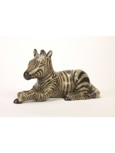 Zebra Foal