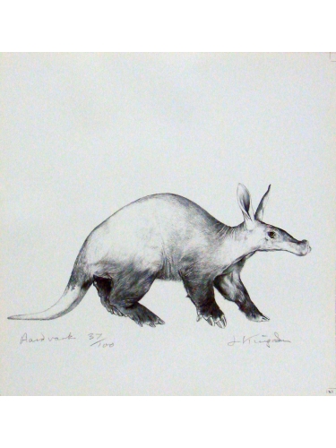 Aardvark