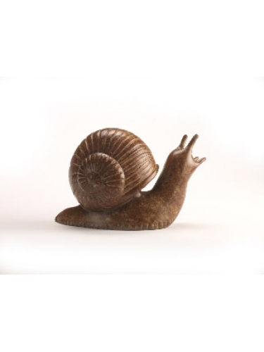 Optimistic Snail