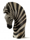 Hartmann's Mountain Zebra