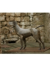 Standing Hound