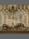 Red Deer Stags 'The Duel' by Nick Bibby
