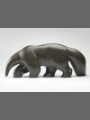Anteater by Michael Cooper