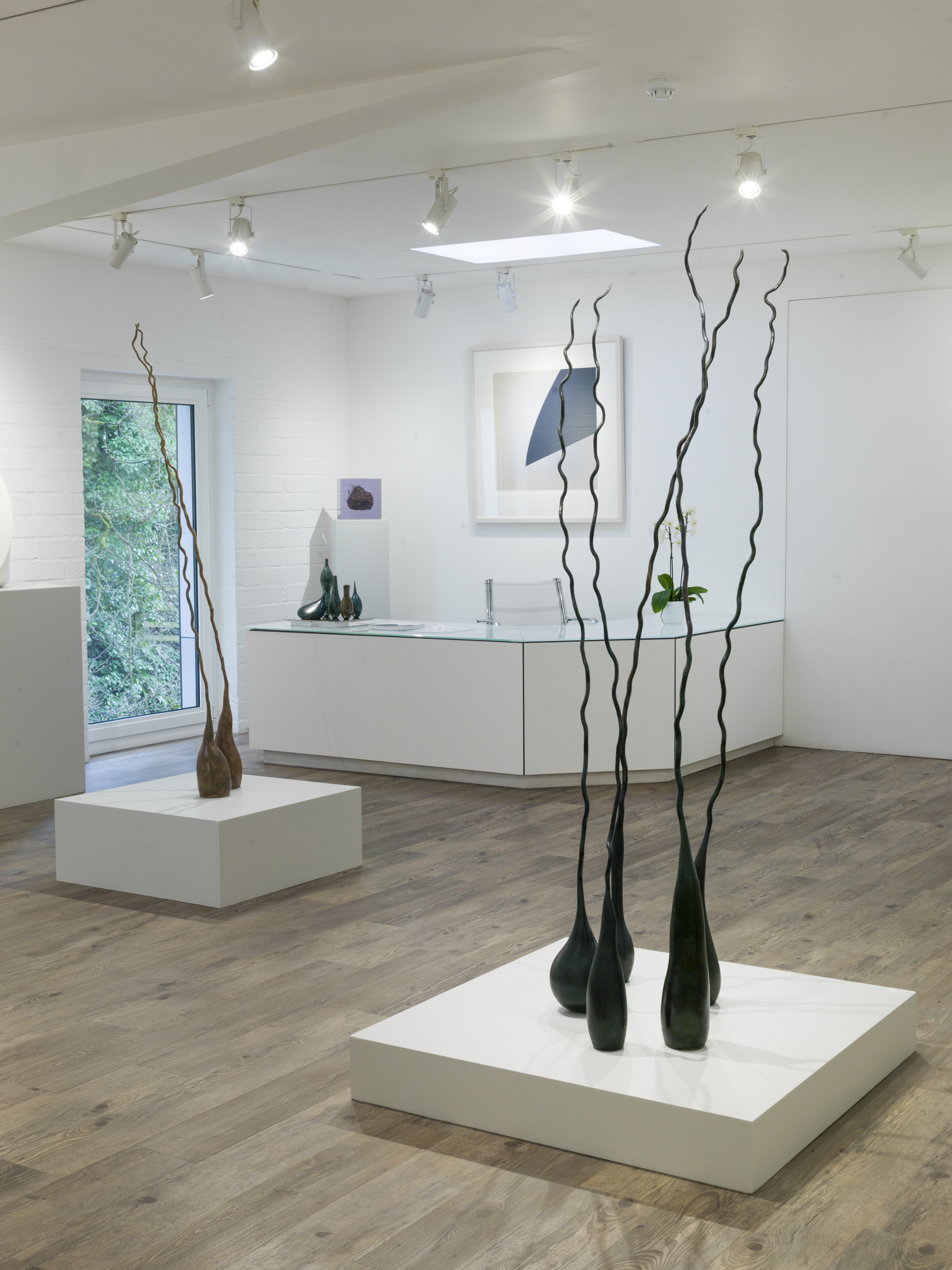 Eilis O’Connell : lightly touching the earth back