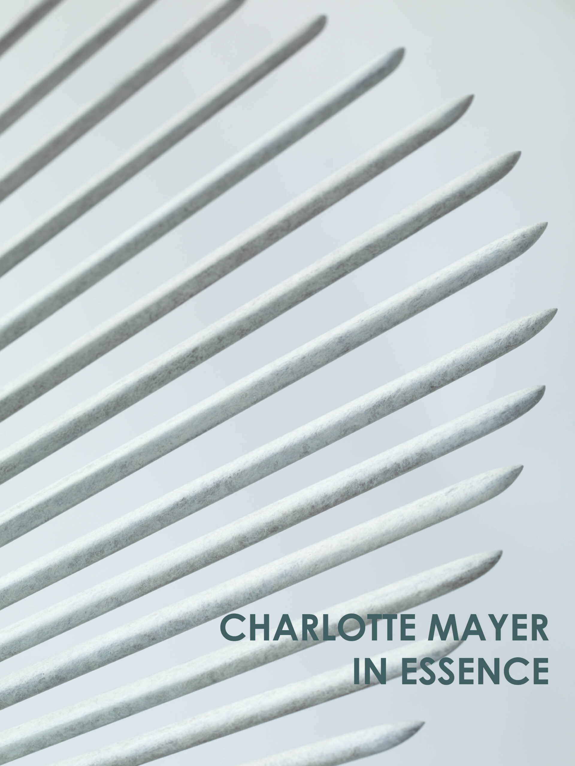 Charlotte Mayer : In Essence