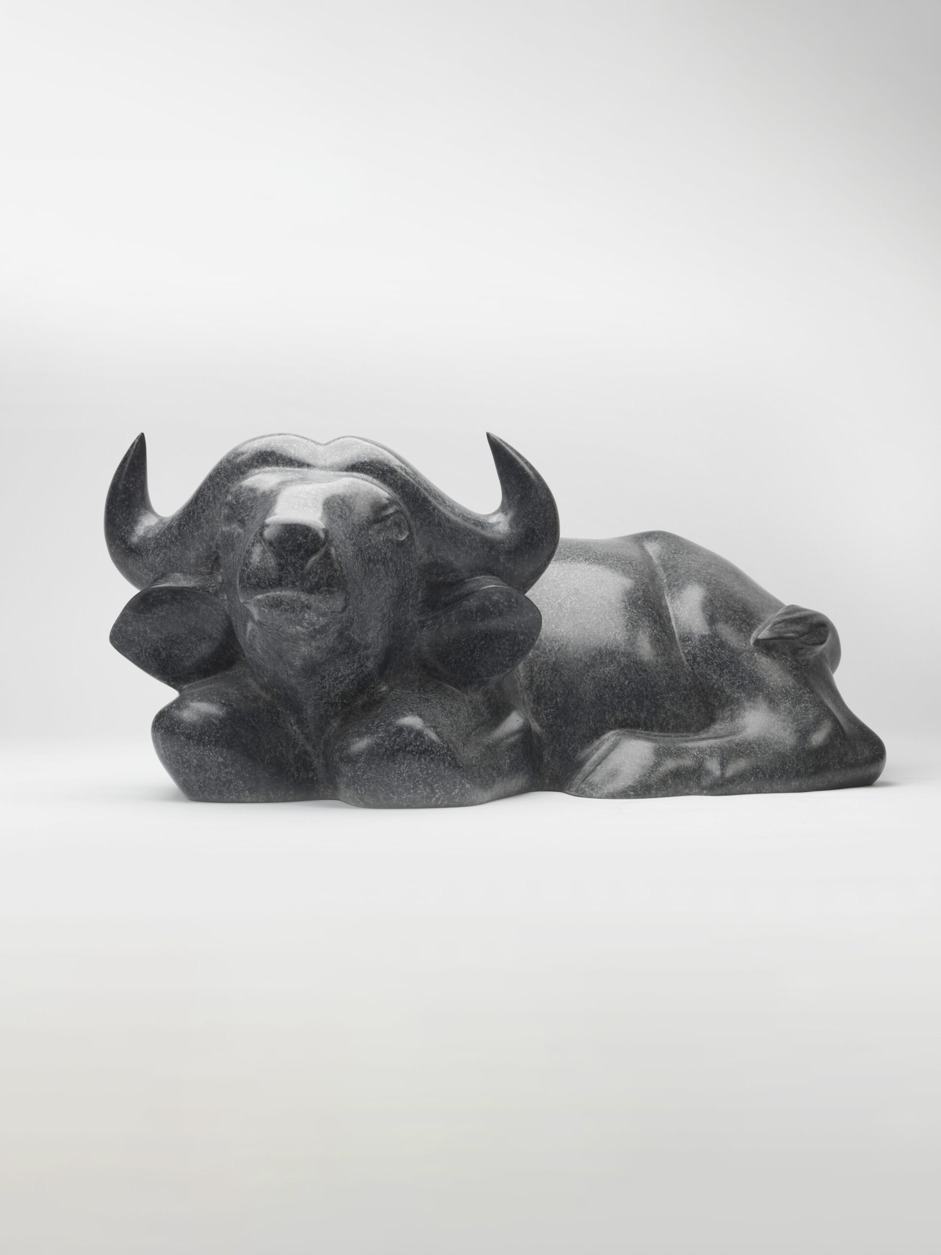 Cape Buffalo