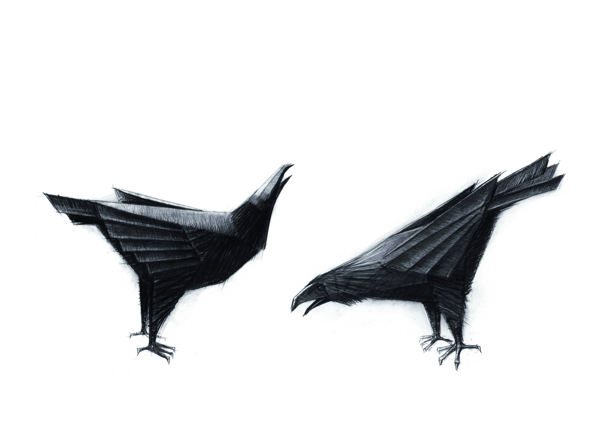 Ravens