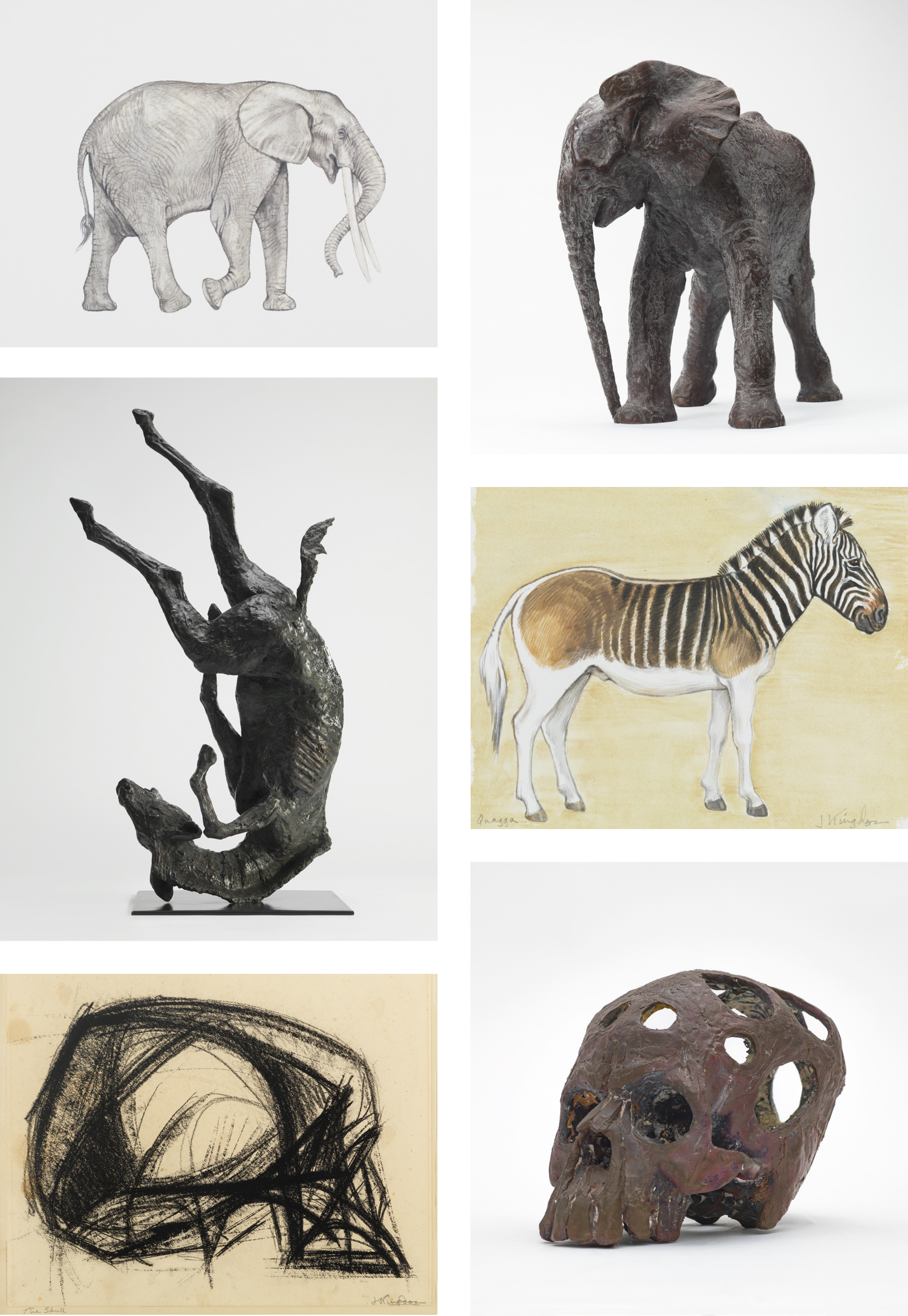 Nature Decoded – Jonathan Kingdon at Ninety