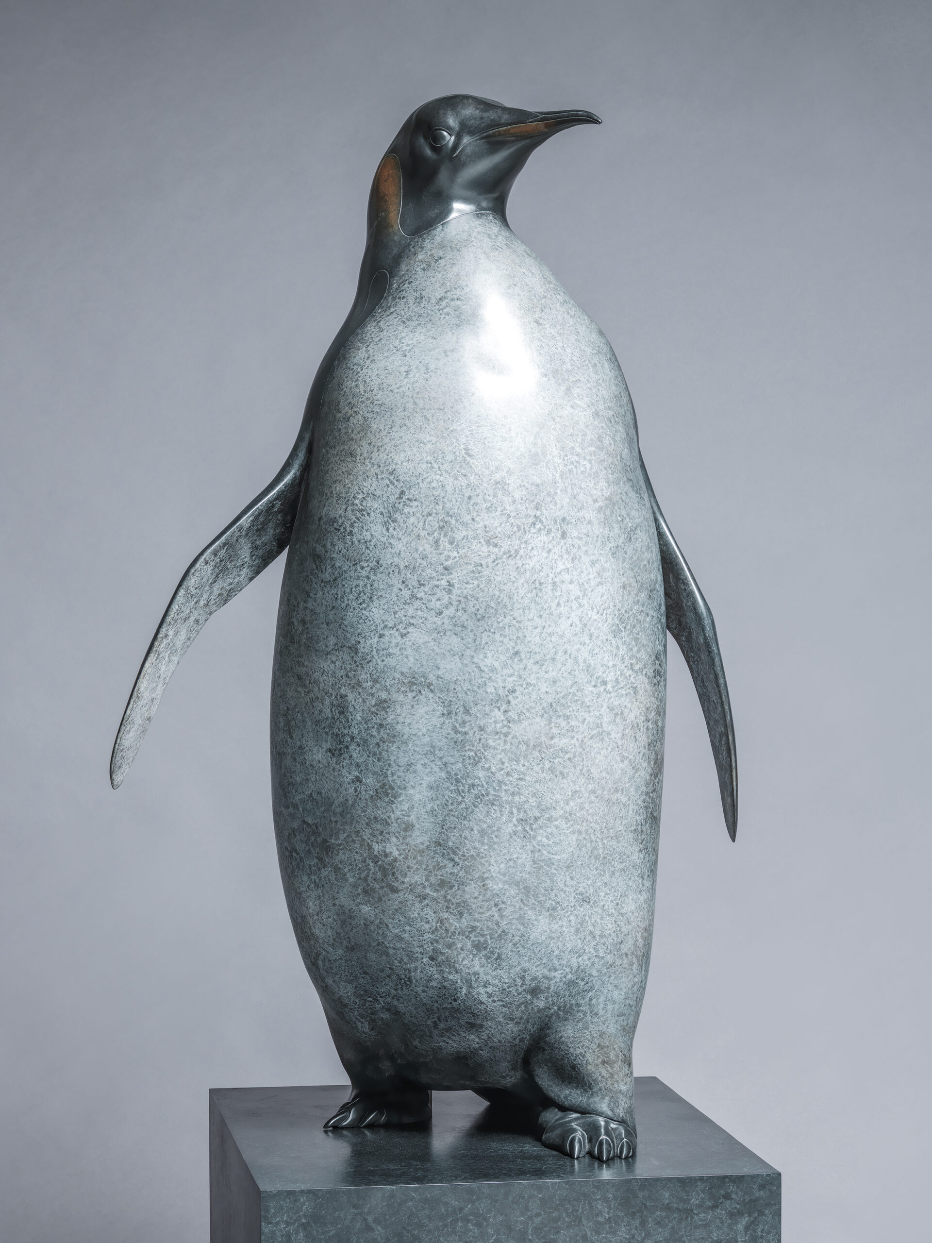 Emperor Penguin