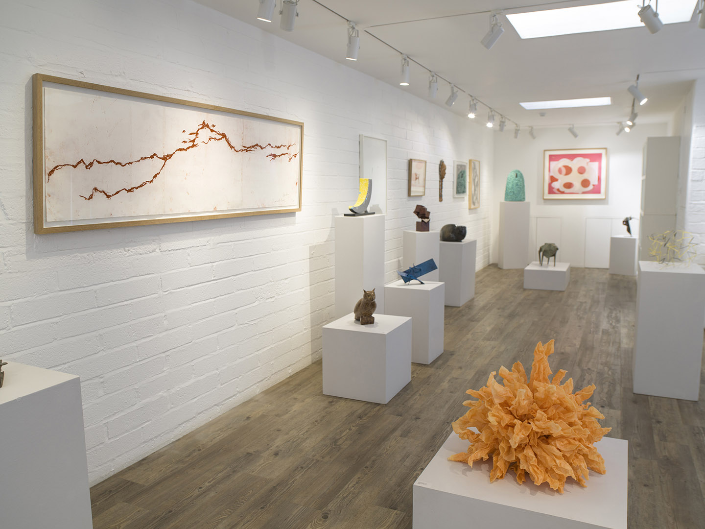 GalleryPangolin_OutOfTheCave