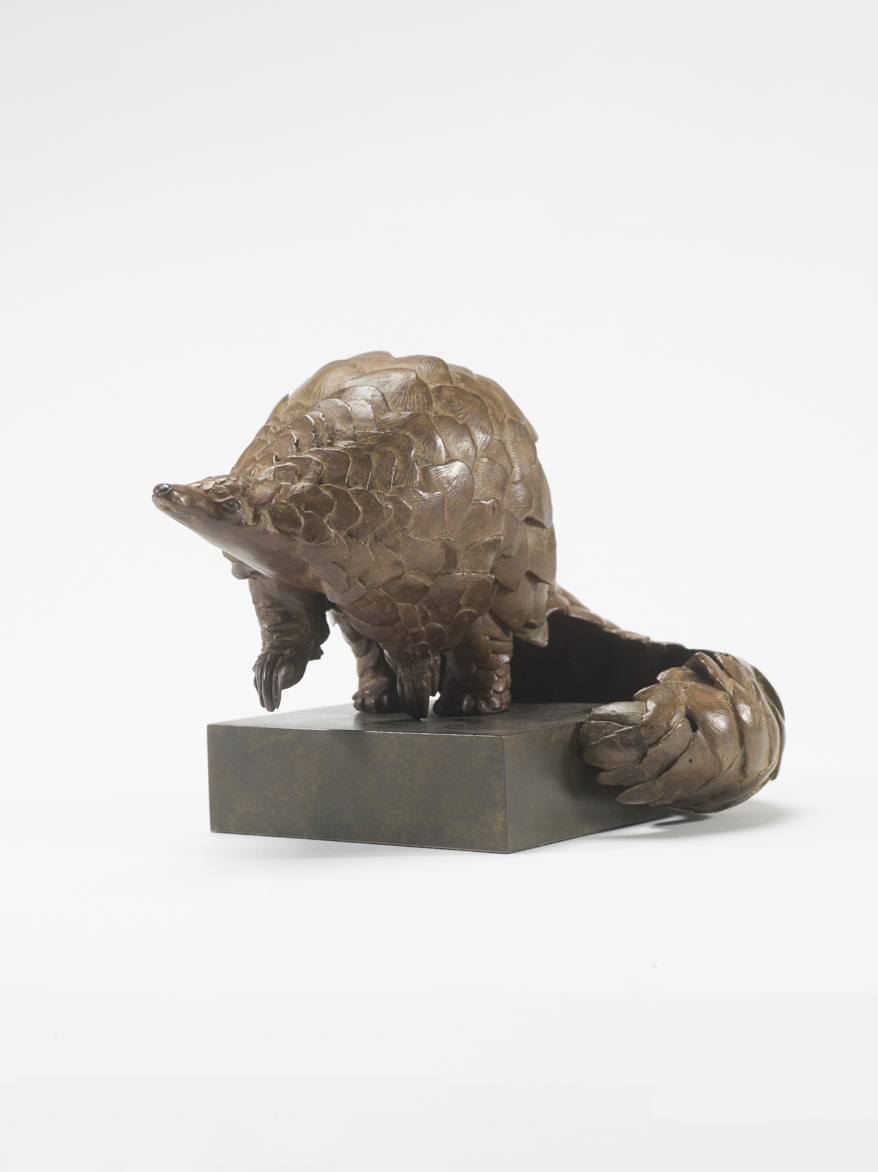 Ground Pangolin Maquette II
