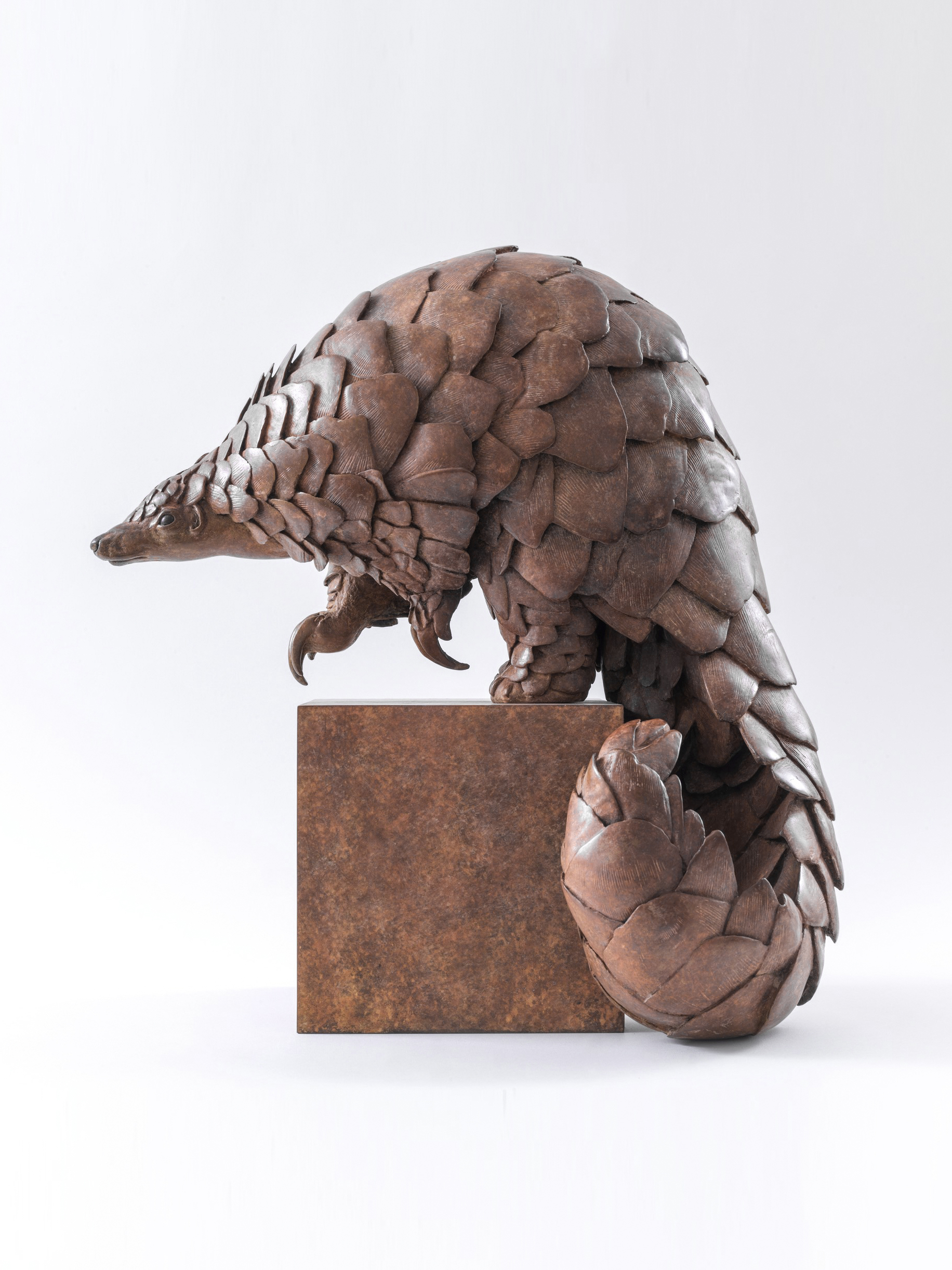 Ground Pangolin Life Size