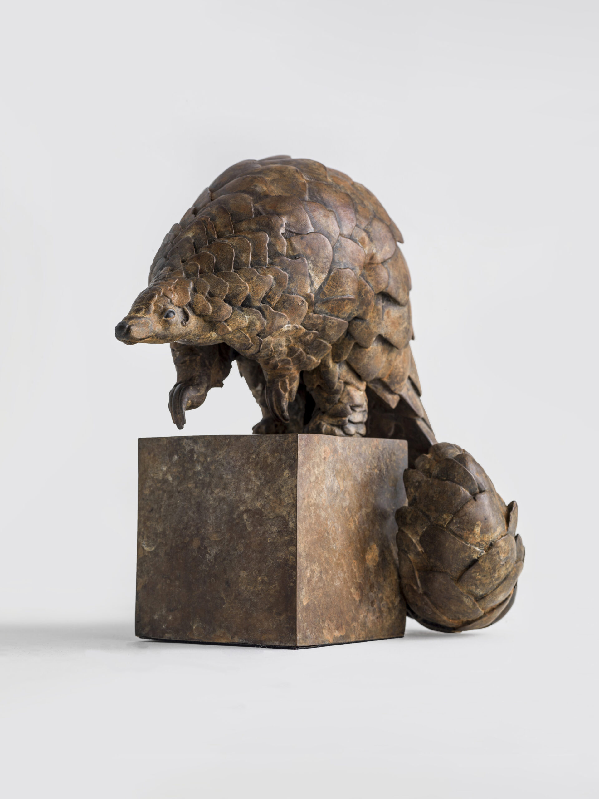 Ground Pangolin Maquette