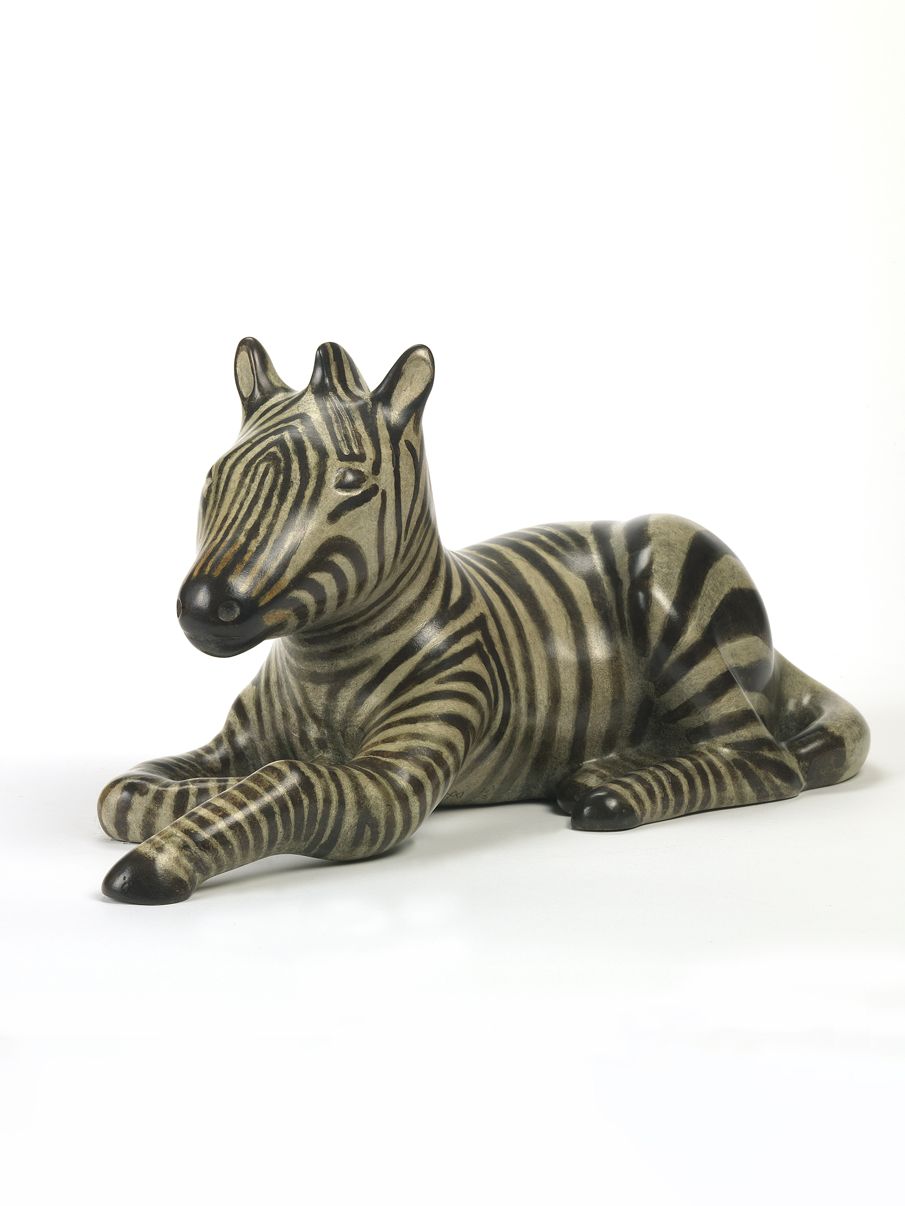 Zebra Foal