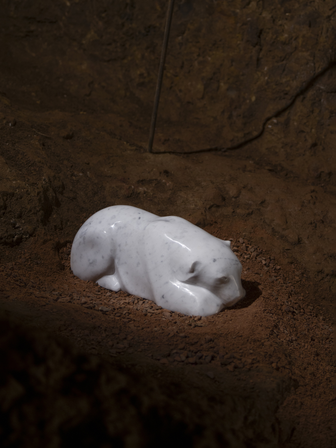 Reclining Polar Bear