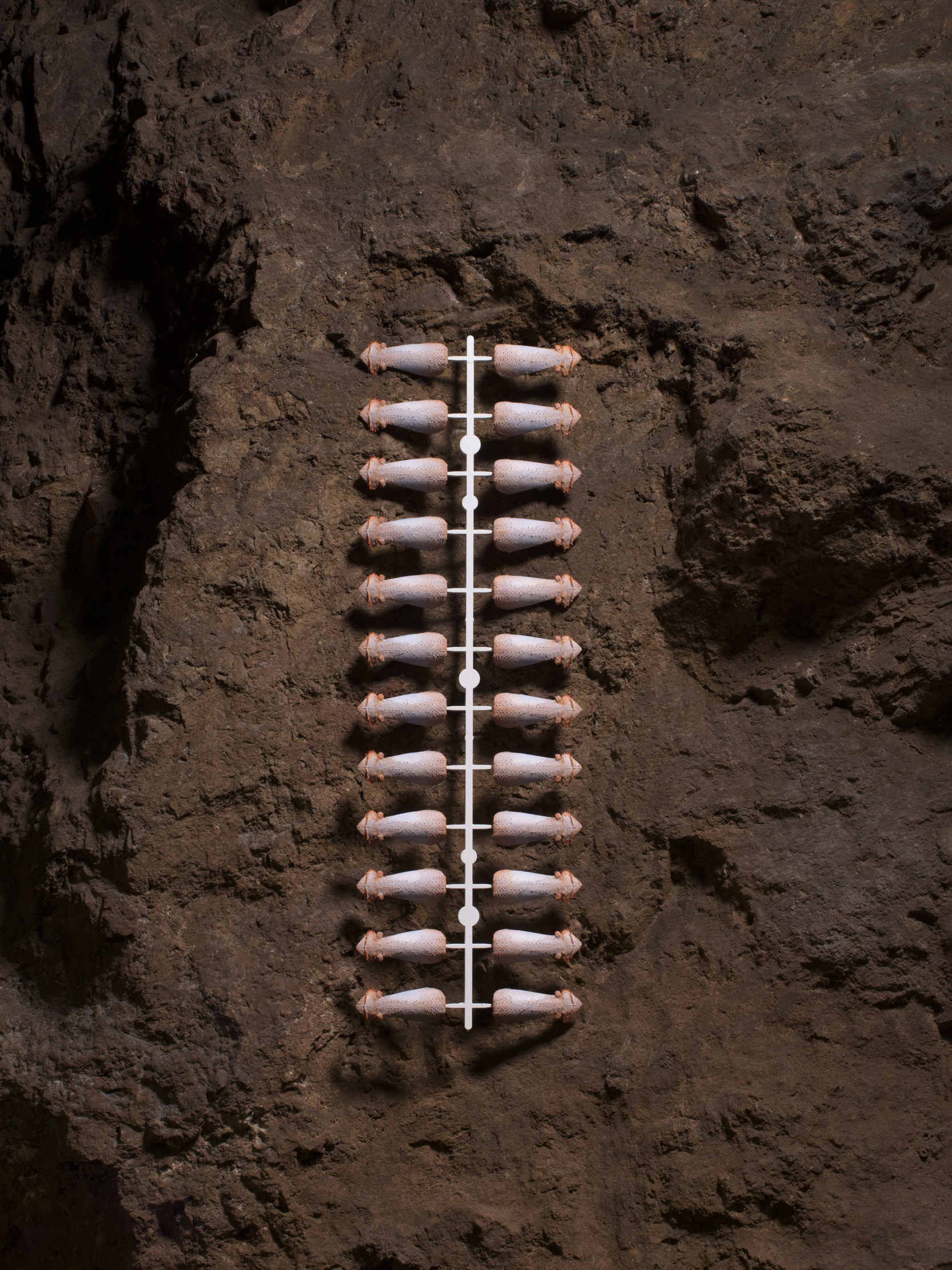 Join the Conversation