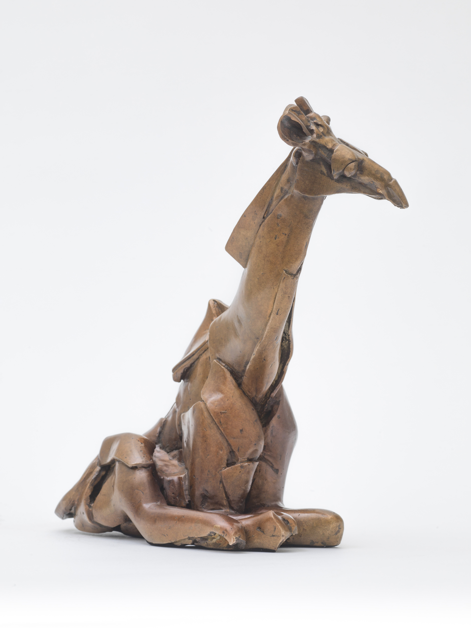 Seated Giraffe