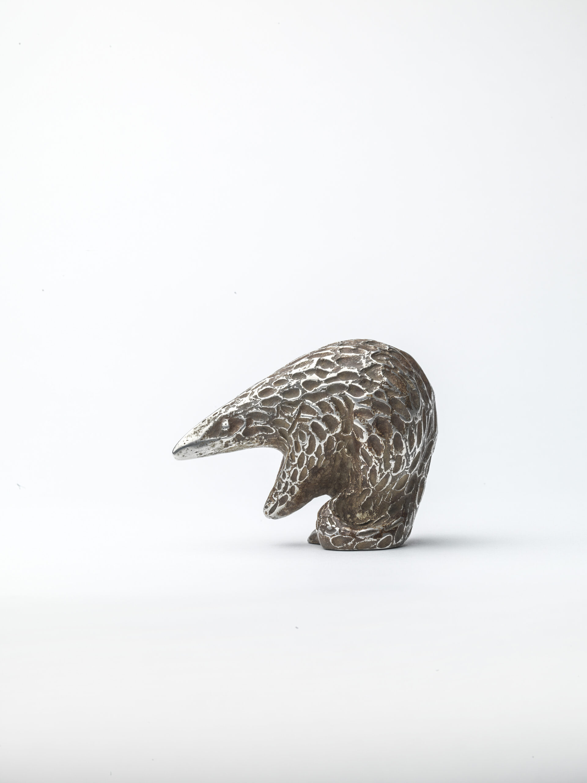 Pangolin