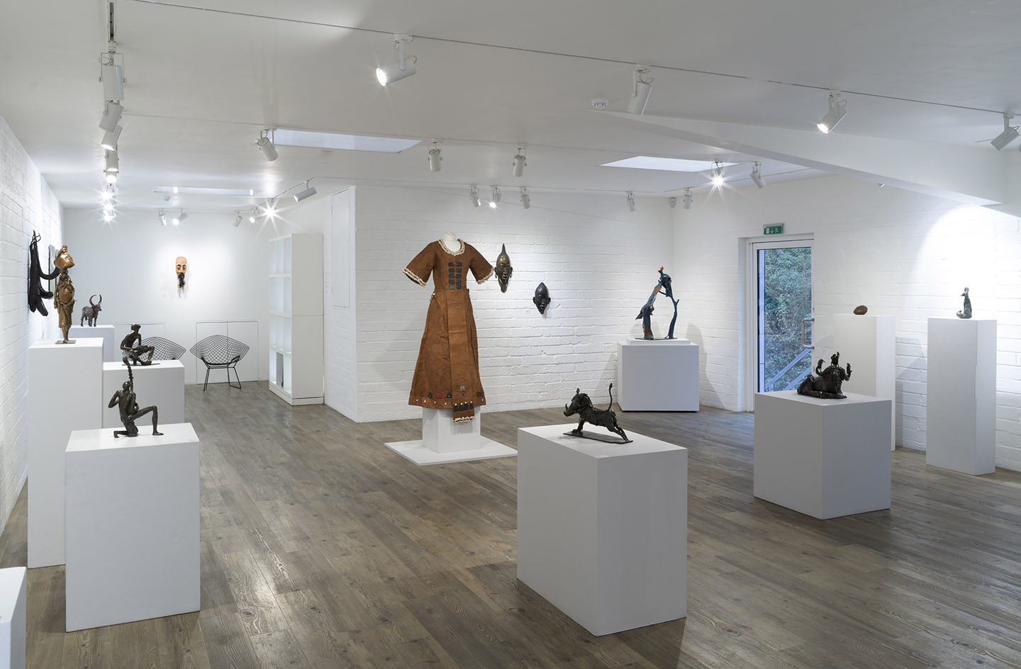 GalleryPangolinHomepage_2