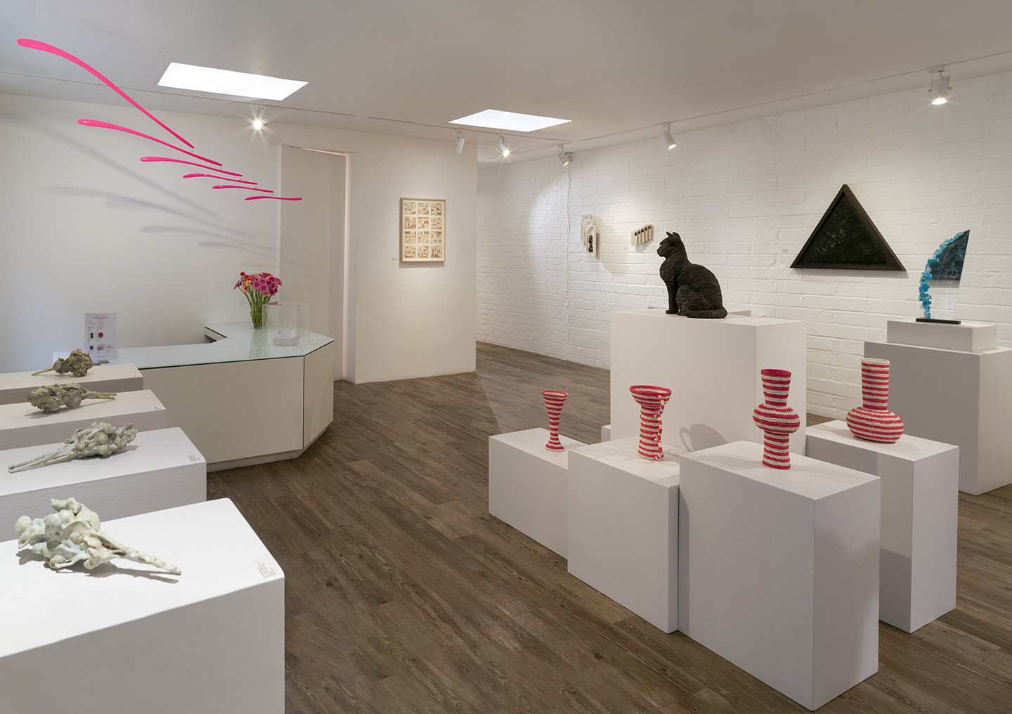 GalleryPangolinHomepage