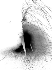 Strange Beasts – Lynn Chadwick and the New Generation, 2011