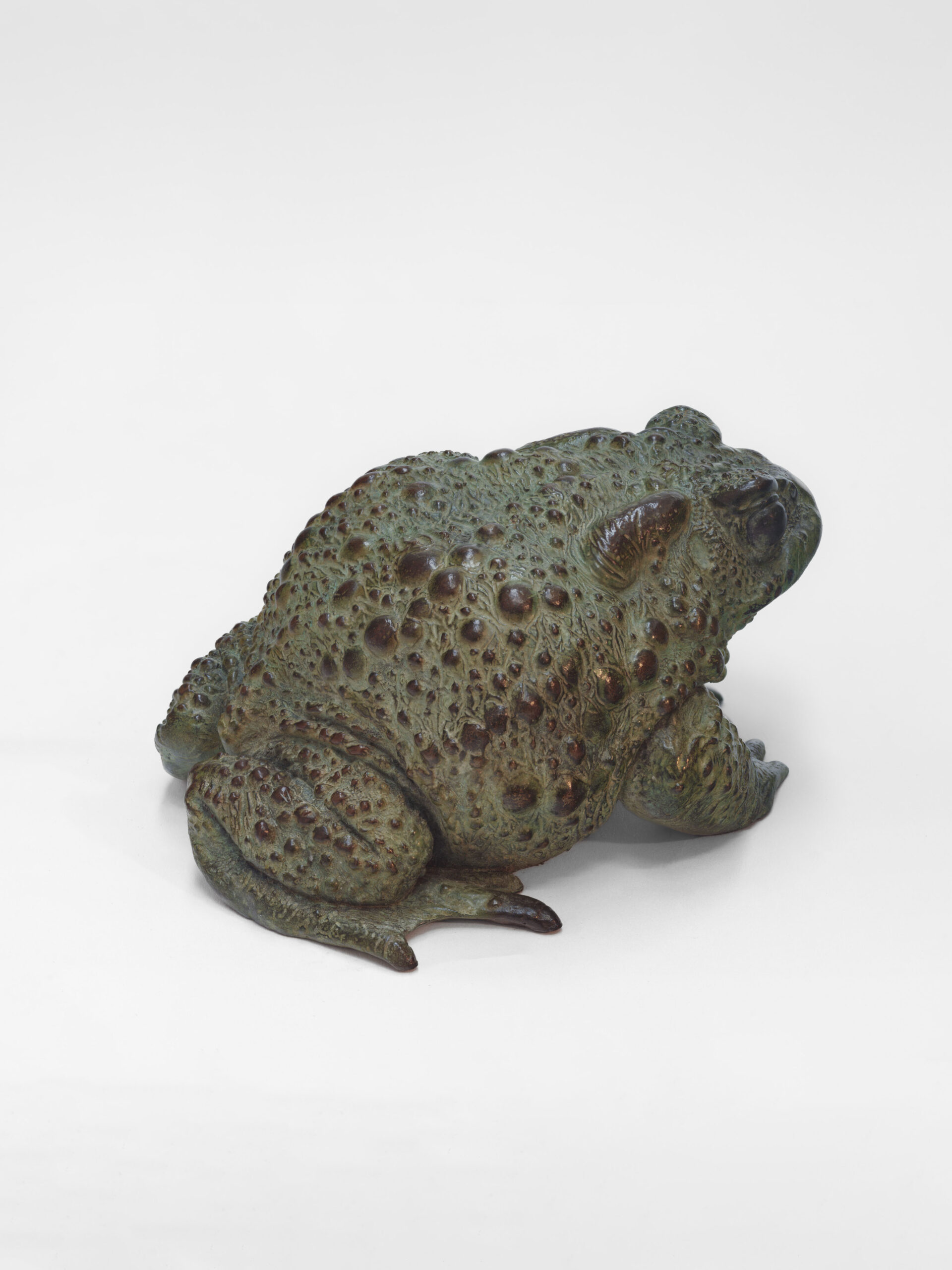Toad II