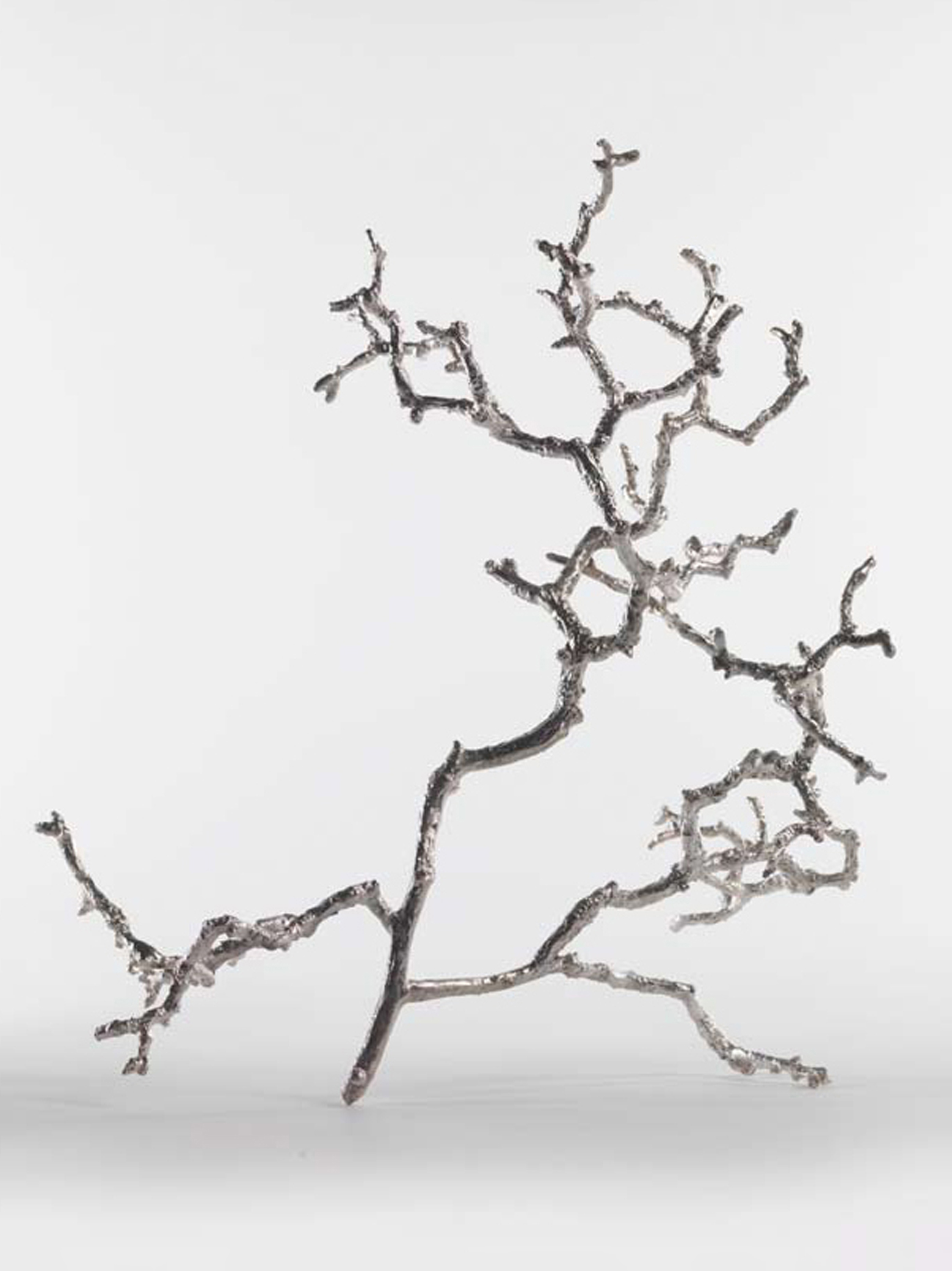 Apple Branch