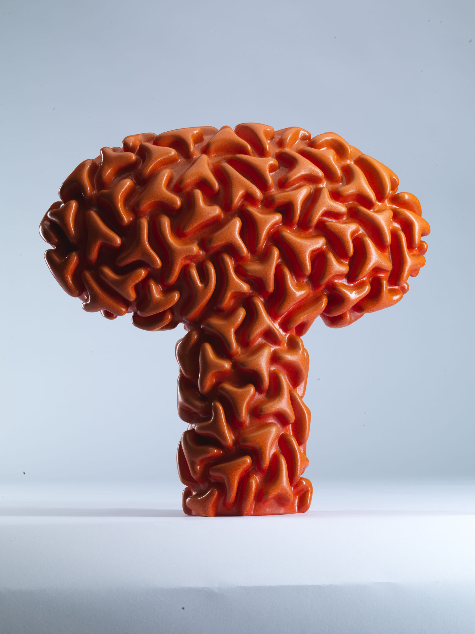 Fruiting Body