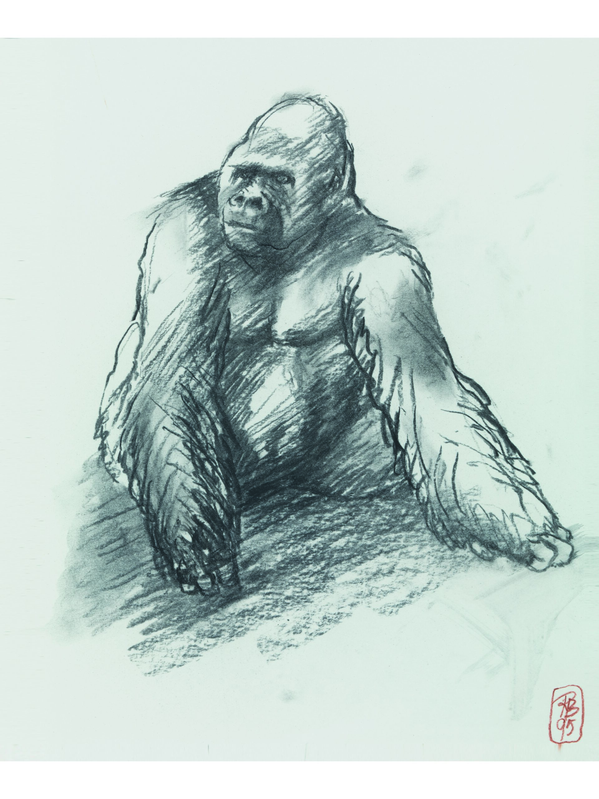 Jambo Squatting