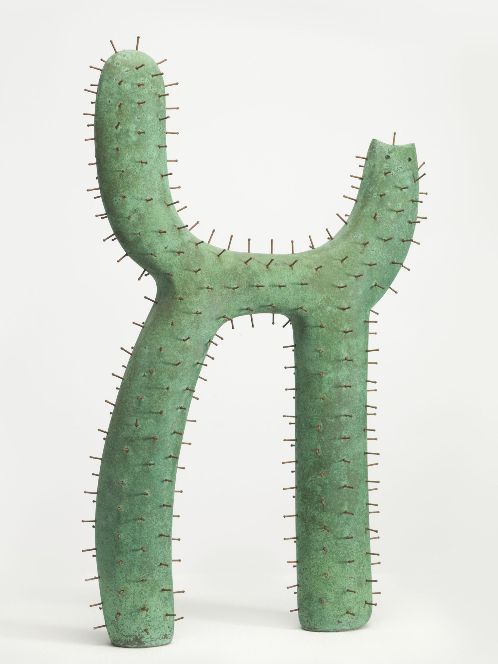 Cactus Cat