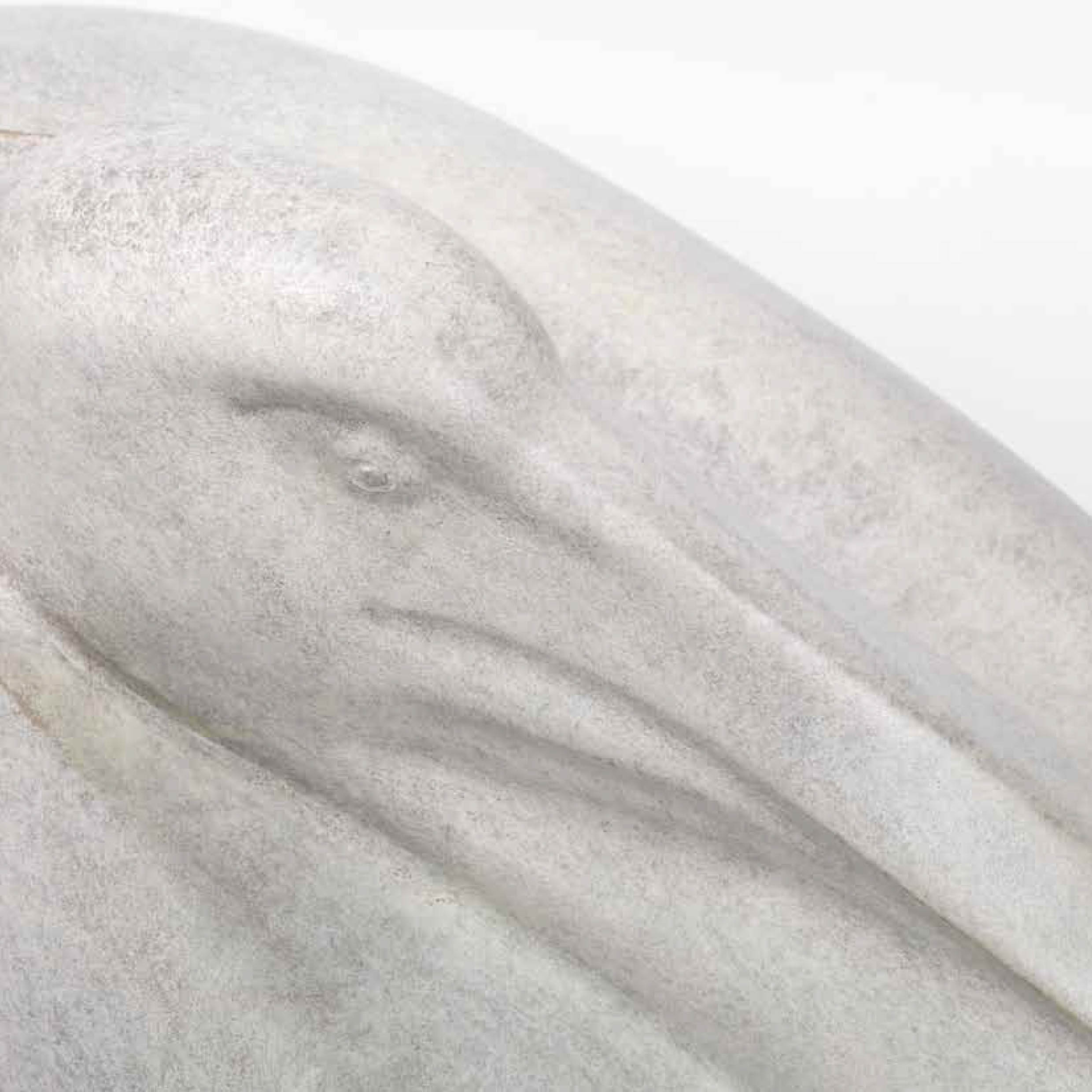 Stirred for a bird: celebrating the bird through sculpture, print and drawings, 2010