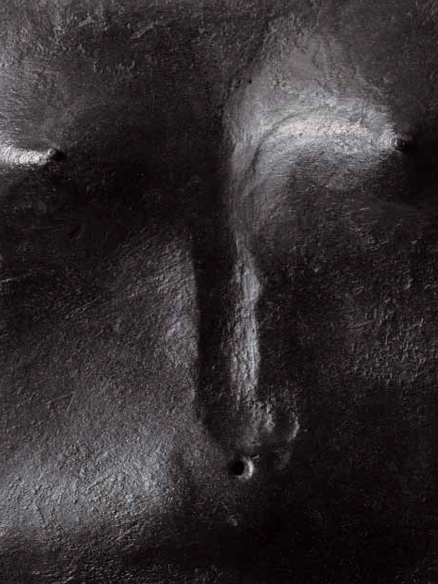 Lynn Chadwick: Prints and Maquettes, 2007