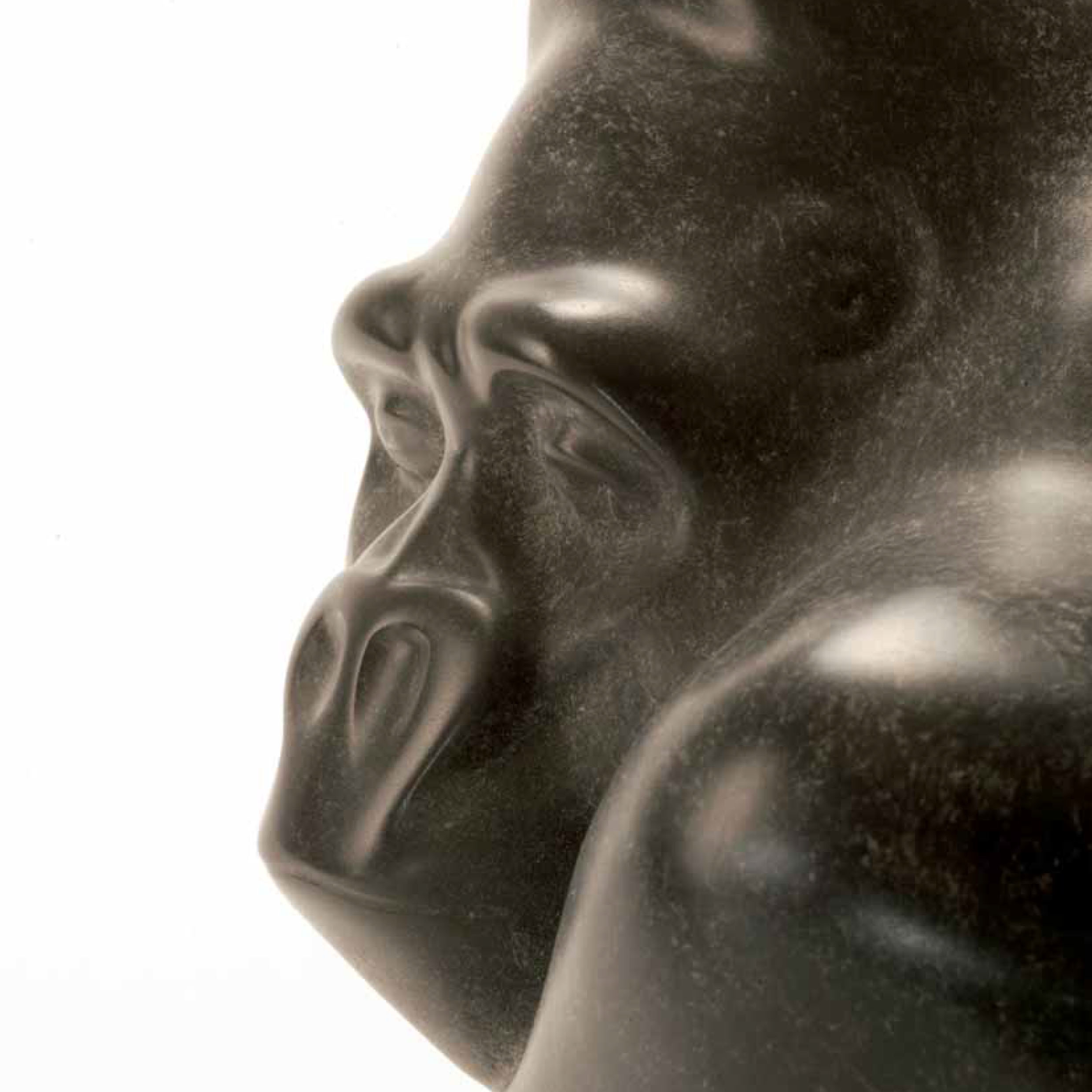 Michael Cooper Bronzes, 2007