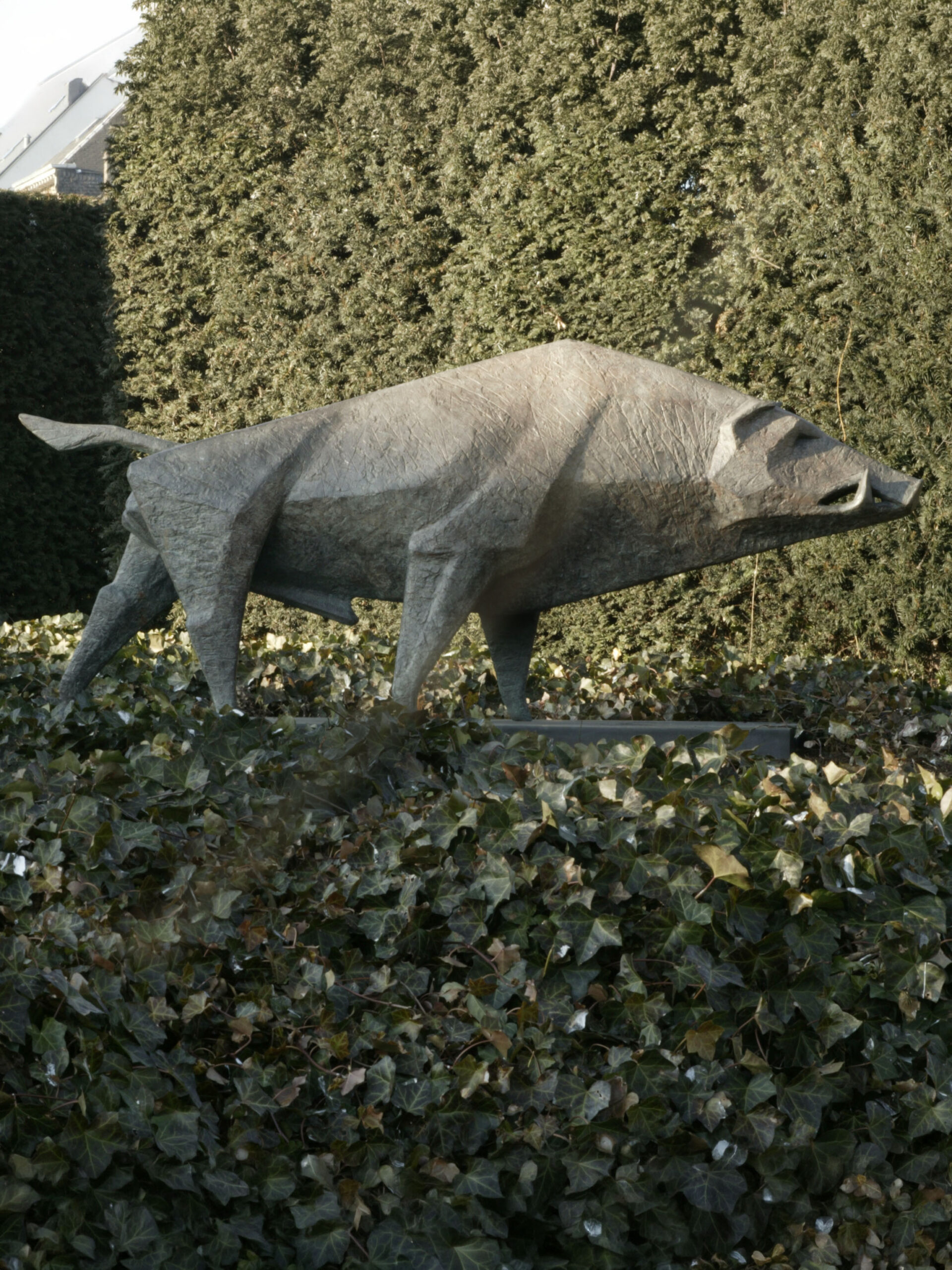 Boar II